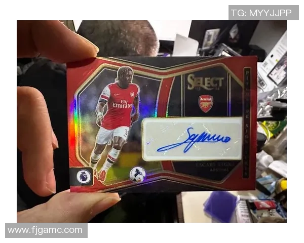 帕尼尼12-13赛季足球球星卡：珍贵收藏，完美展示足球之美